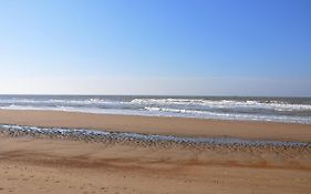 La Perle D'Ostende